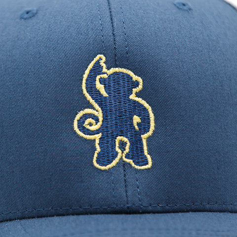 Trucker Hat - Navy/Gold